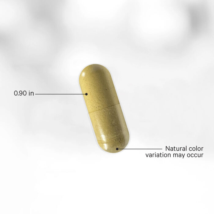 Men's Fermented Multivitamin 5