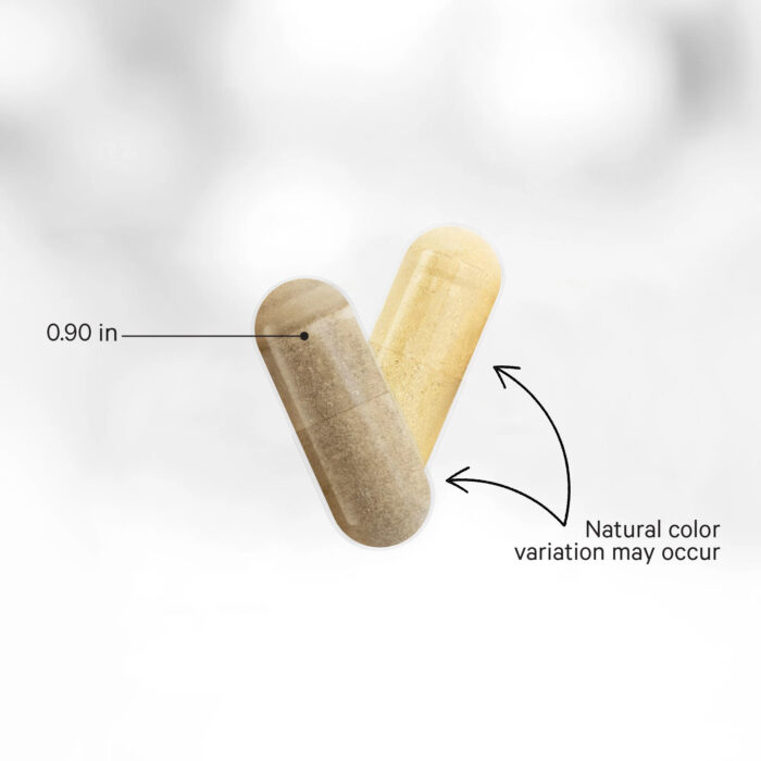 Women's Fermented Multivitamin+ 5